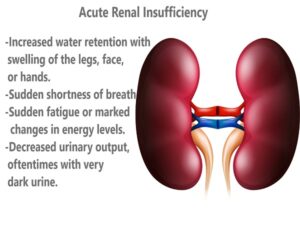 acute renal insufficiency
